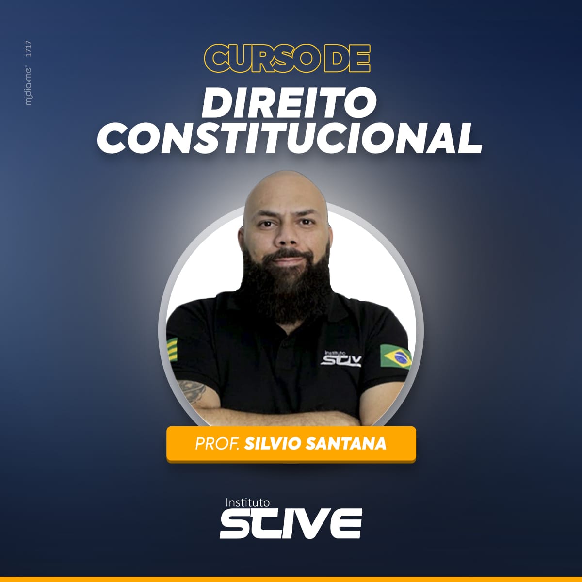 Curso de Direito Constitucional  - Silvio Santana